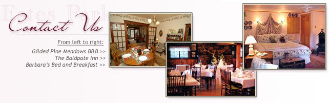 Contact Us